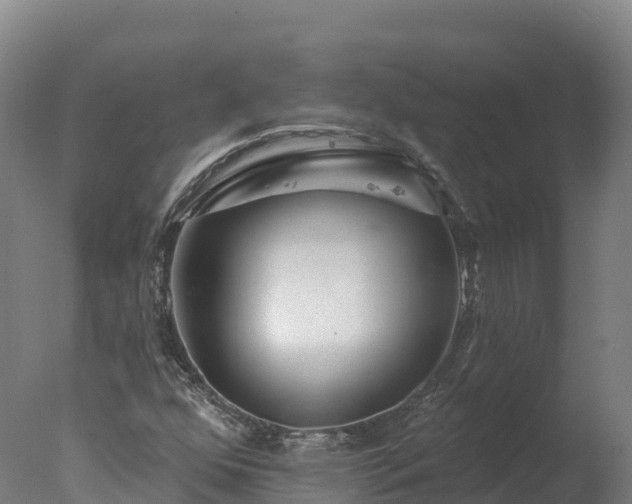 X0000077311352200610271633
