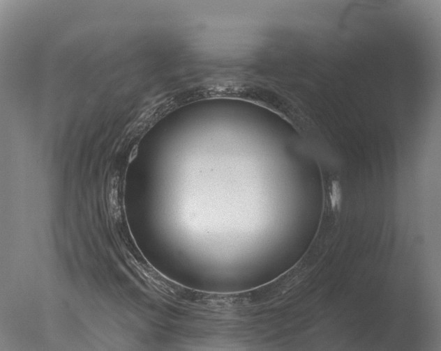 X0000077311396200610271631