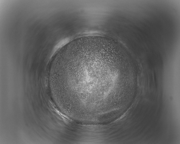 X0000077311405200610271631