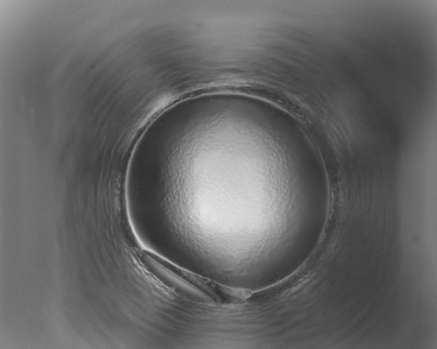 X0000077311409200610271632
