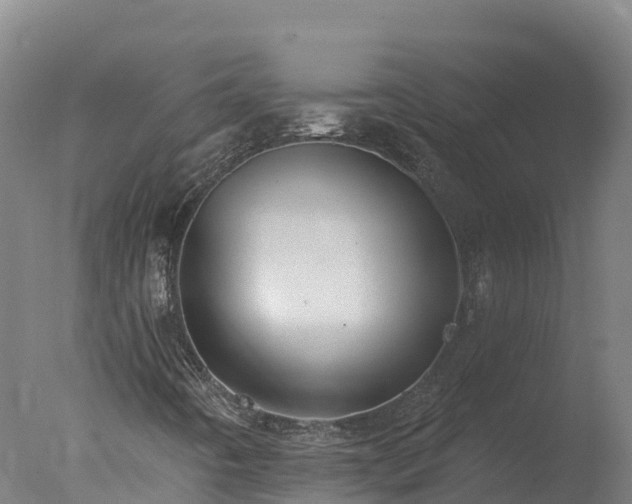X0000077311442200610271631