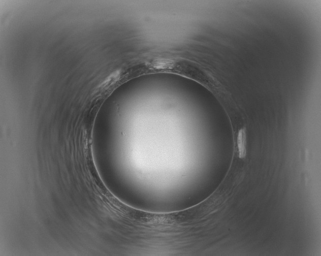 X0000077311443200610271631