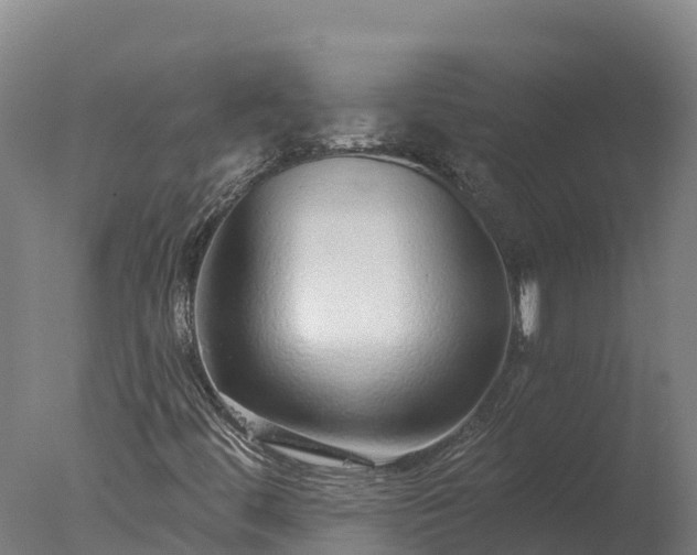 X0000077311444200610271631