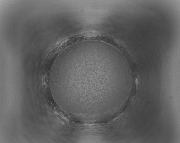 X0000077311445200610271631