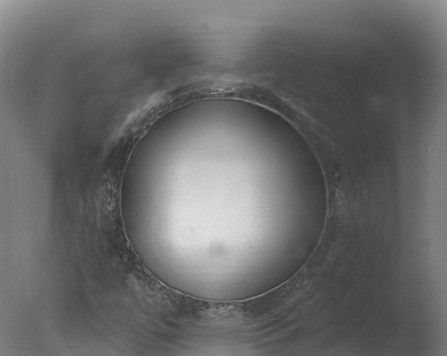 X0000077311447200610271631