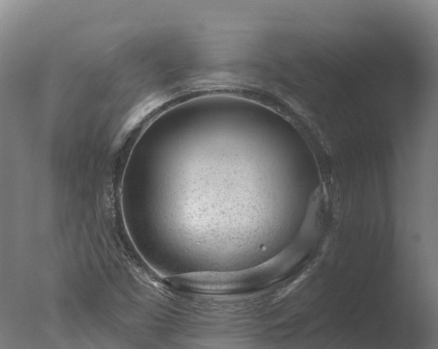X0000077311453200610271631