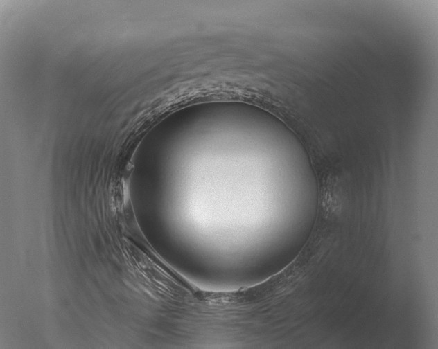 X0000077311490200610271630