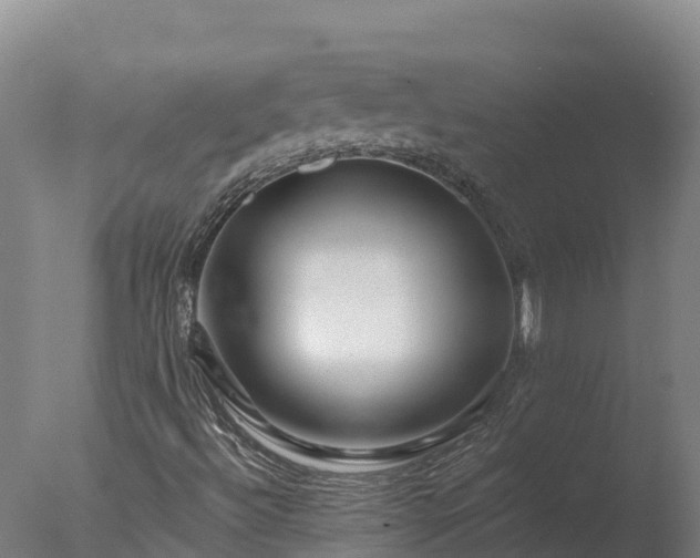 X0000077311492200610271630
