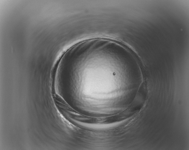 X0000077311508200610271630