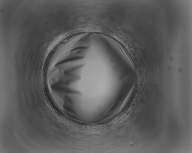 X0000077310008200611031652
