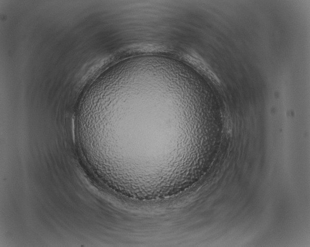 X0000077310014200611031652