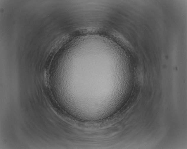 X0000077310022200611031652
