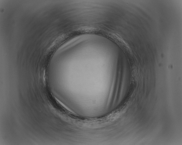 X0000077310024200611031652
