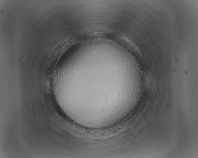 X0000077310026200611031651