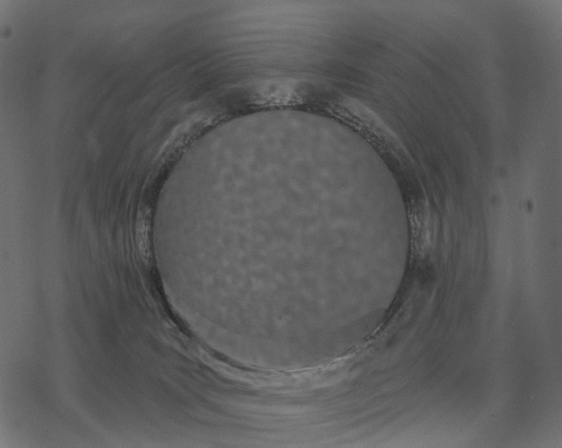 X0000077310035200611031651