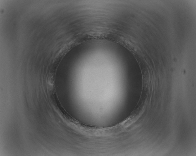 X0000077310040200611031651