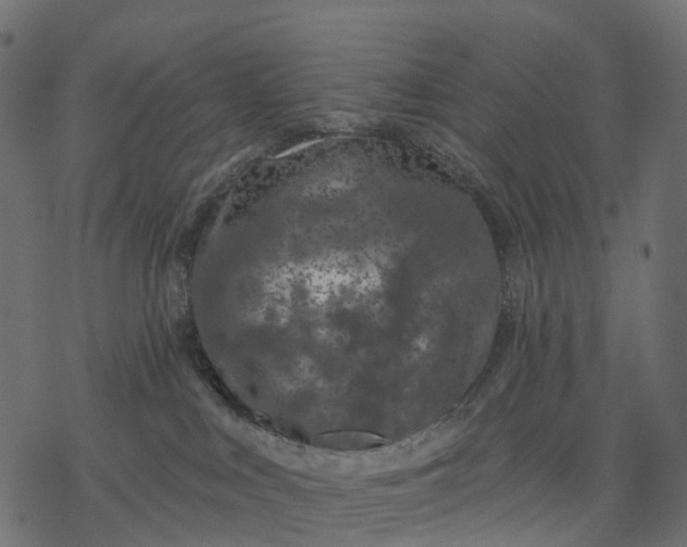 X0000077310043200611031651