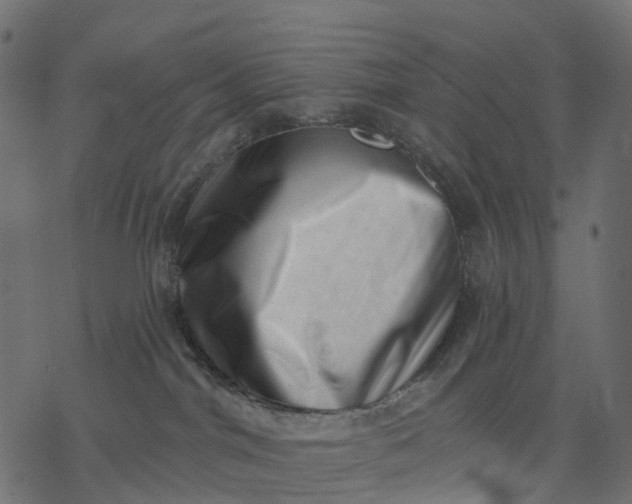 X0000077310044200611031651