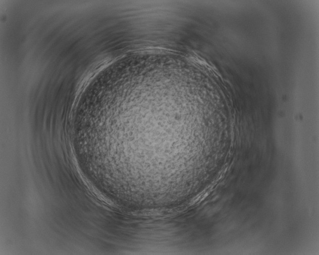X0000077310049200611031650