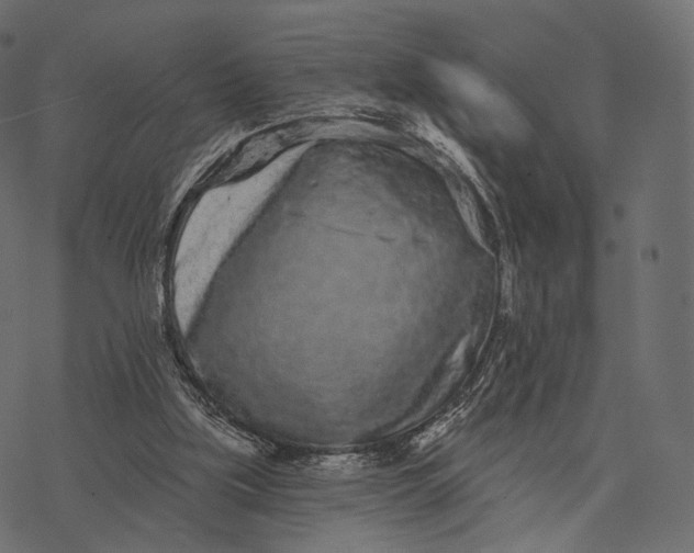 X0000077310059200611031651