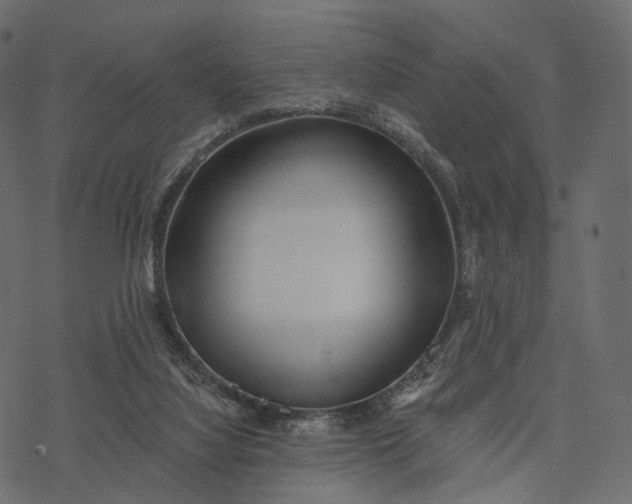 X0000077310068200611031651
