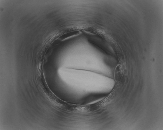 X0000077310070200611031651