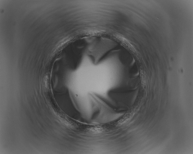 X0000077310071200611031651
