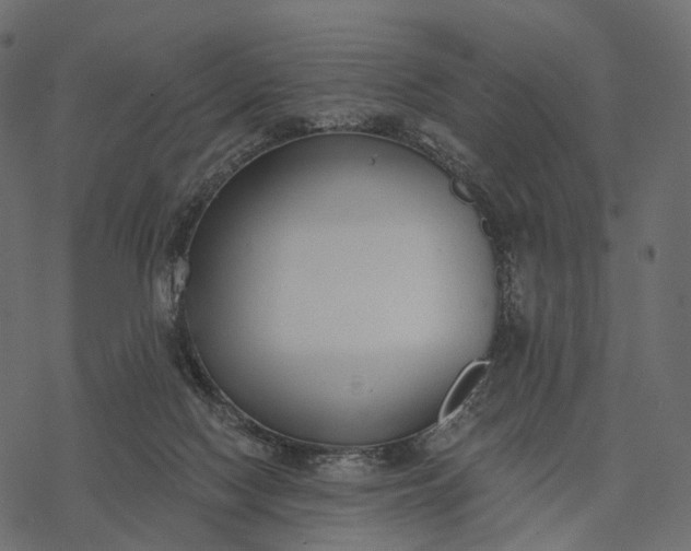 X0000077310074200611031651