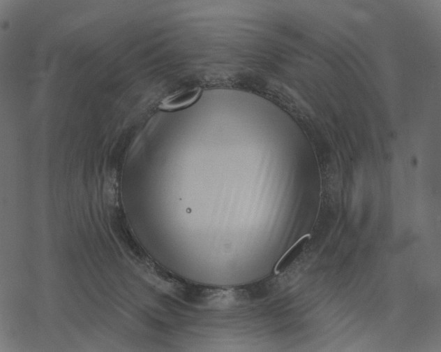 X0000077310083200611031651