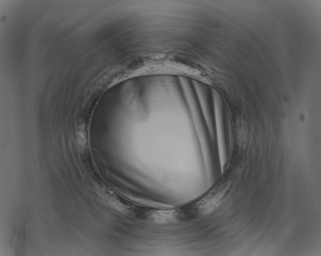X0000077310085200611031651