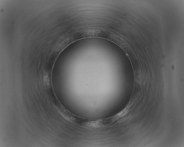X0000077310086200611031651
