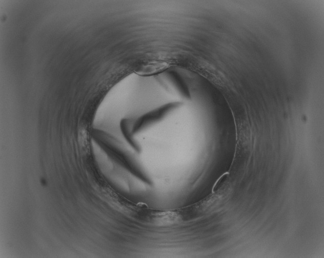 X0000077310087200611031651