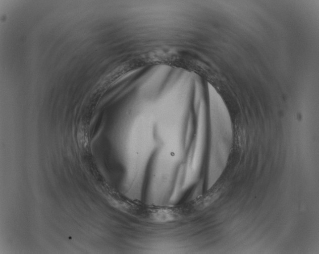 X0000077310091200611031651