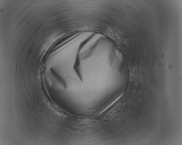 X0000077310098200611031650