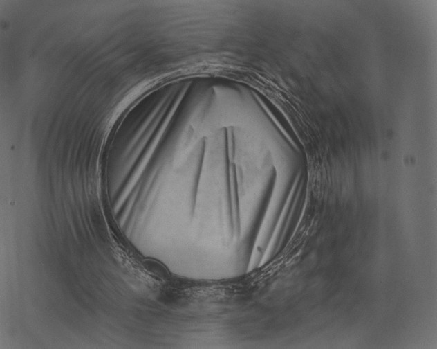X0000077310100200611031650