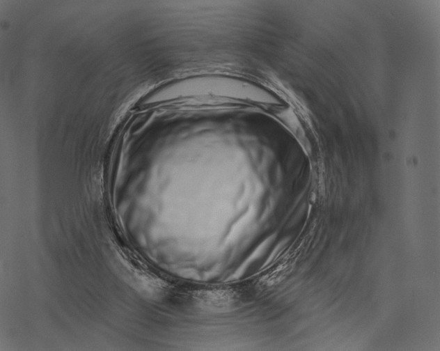 X0000077310107200611031650