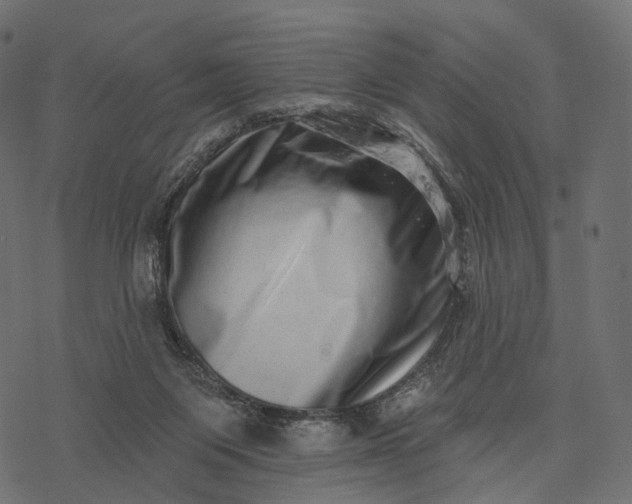 X0000077310119200611031650