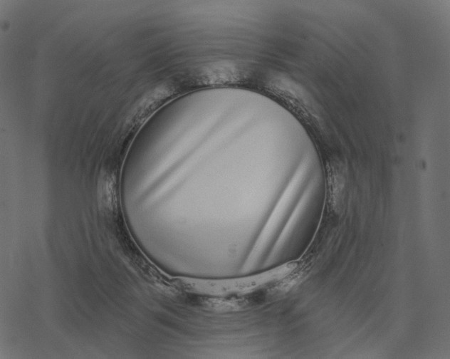 X0000077310123200611031650
