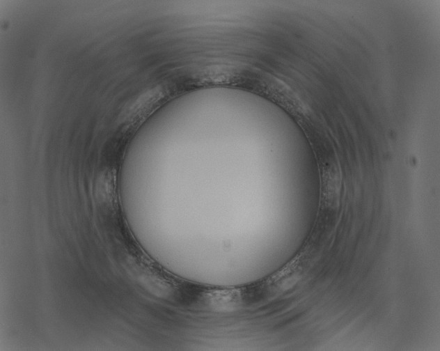 X0000077310126200611031650