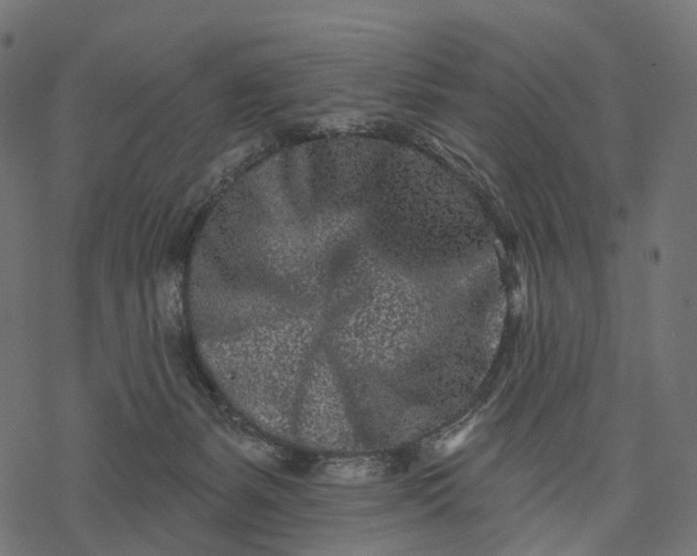 X0000077310127200611031650