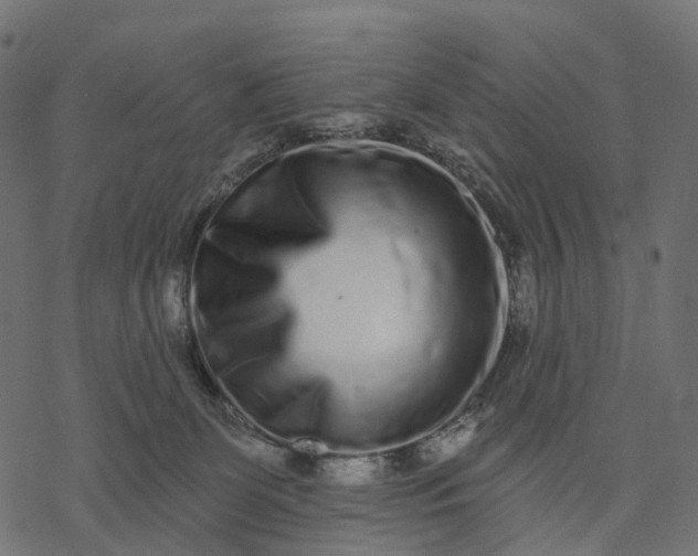 X0000077310131200611031650