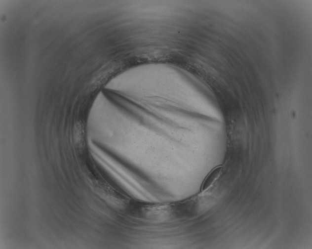 X0000077310132200611031650