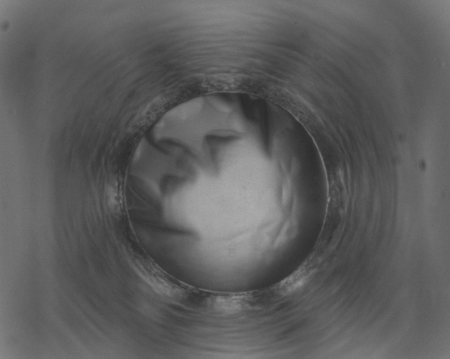 X0000077310134200611031650