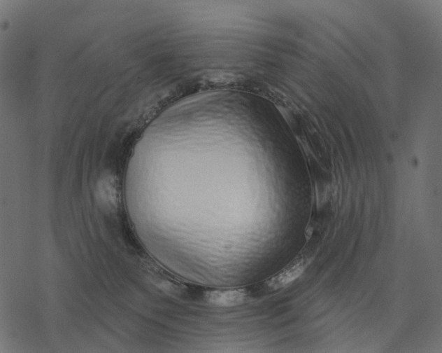 X0000077310135200611031650