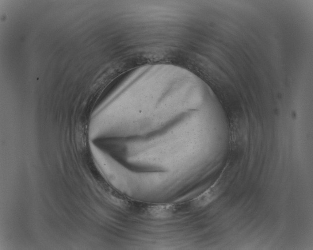 X0000077310136200611031650