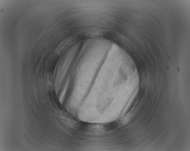 X0000077310140200611031650