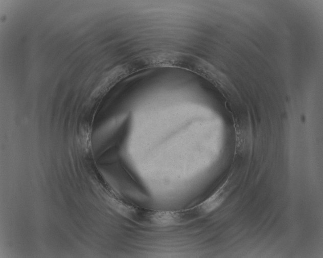 X0000077310142200611031650