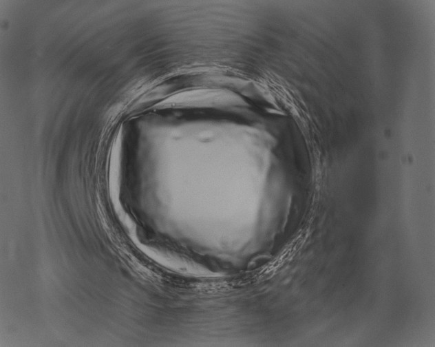 X0000077310145200611031649