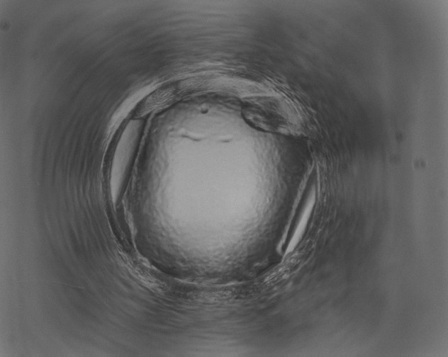 X0000077310147200611031649