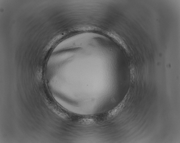 X0000077310159200611031649